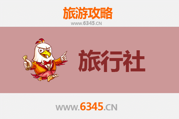 佳木斯同江本地旅行社推荐：畅游边境风情的明智之选